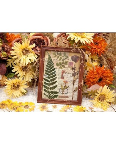 1 Paket - Eğrelti Otu Sticker