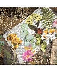 1 Paket - Baldırıkara Otu Sticker