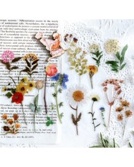 1 Paket - Mix Yeşil Ot Sticker