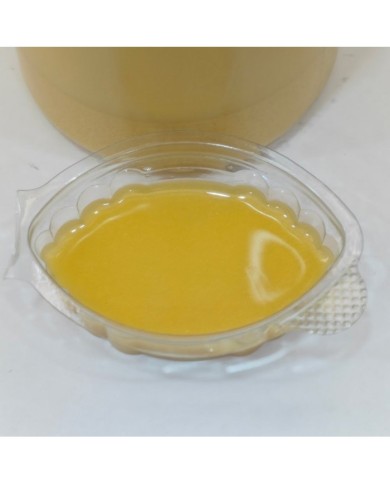 20 ml - Opak Pigment Boya - Sarı - Model:C0359