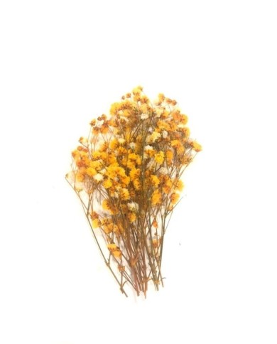 Epoksi Reçine Süsleme Sarı Kuru Çiçek Cipso