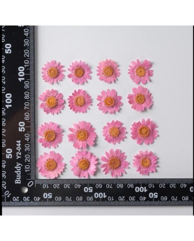 Kurutulmuş Papatya - Koyu Pembe 5 Adet