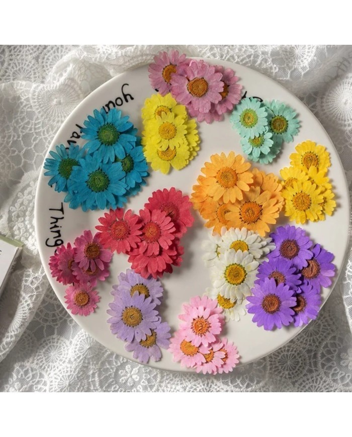 Kurutulmuş Papatya - Koyu Pembe 5 Adet