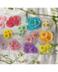 Kurutulmuş Papatya - Fuşya 10 Adet