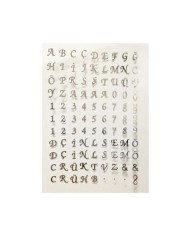 Epoksi Asetat - Gümüş