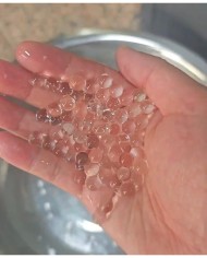 Su Maymuncuğu - Dekor Ürünü - 10.000 Adet