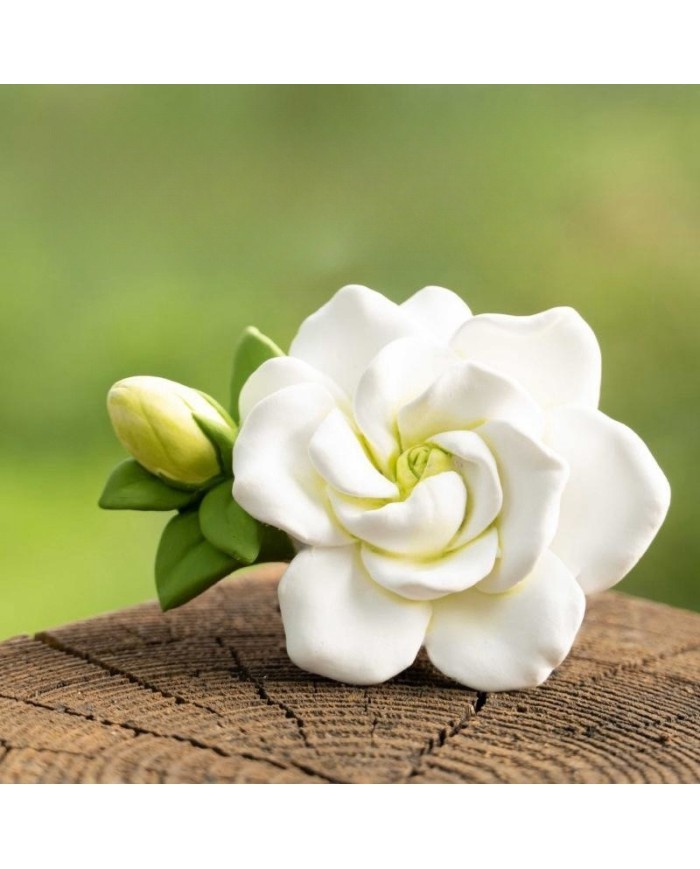 Tomurcuk Gül Çiçeği Epoksi Mum ve Beton Kalıbı - Kod: 1275