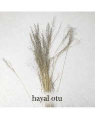 Hayal Otu