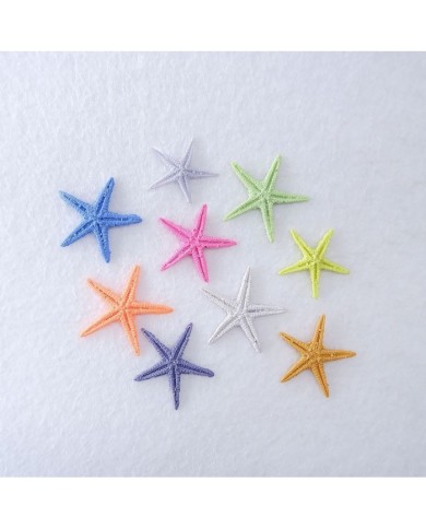 Renkli Deniz Yıldızı