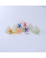 Renkli Deniz Yıldızı