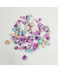 Renkli Deniz Kabuğu 25gr