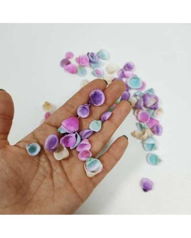 Renkli Deniz Kabuğu 25gr