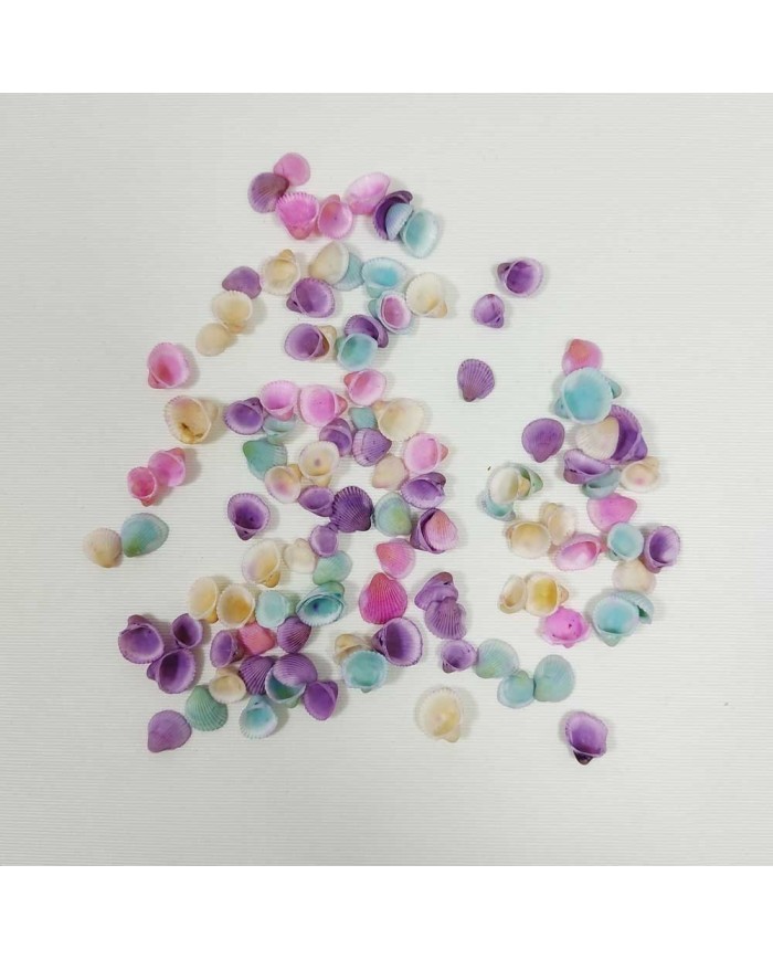 Renkli Deniz Kabuğu 25gr