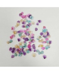 Renkli Deniz Kabuğu 25gr