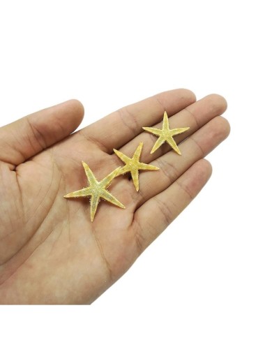 Doğal Deniz Yıldızı - Orta Boy