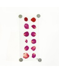 Reçine Epoksi Sticker - Kırmızı Yaprak