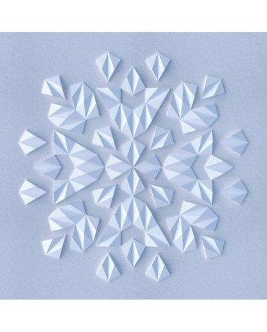 Havuç Dilimi Deseni Beton Kalıbı