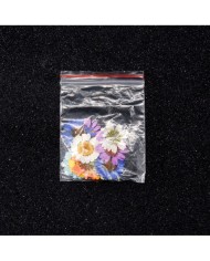 Kurutulmuş Papatya Seti 1 - 7 Renk 14 Adet