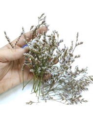 Kurutulmuş Çiçek - Beyaz