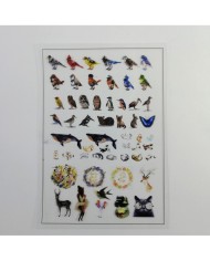 Penguen Asetat - Reçine Epoksi Asetat