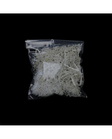 Kurutulmuş Yosun - Beyaz - 5 gr