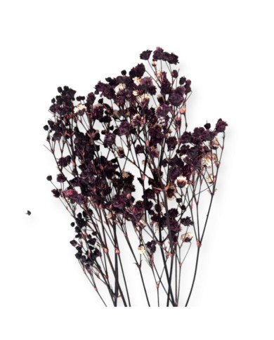 Şoklanmış Pıtırcık Kuru Çiçekler - Mini demet