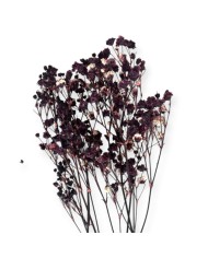 Şoklanmış Pıtırcık Kuru Çiçekler - Mini demet