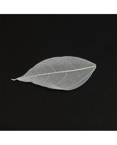 3 Adet - Kumaş Yaprak - Beyaz 3 Adet - Kumaş Yaprak - Beyaz