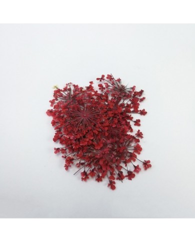 Sultan Otu - Kurutulmuş Çiçek - Kırmızı - 10 adet