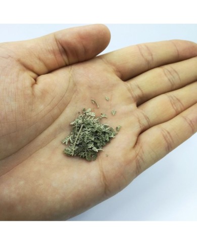 Kurutulmuş Aşk Merdiveni Mini demet 5 Adet