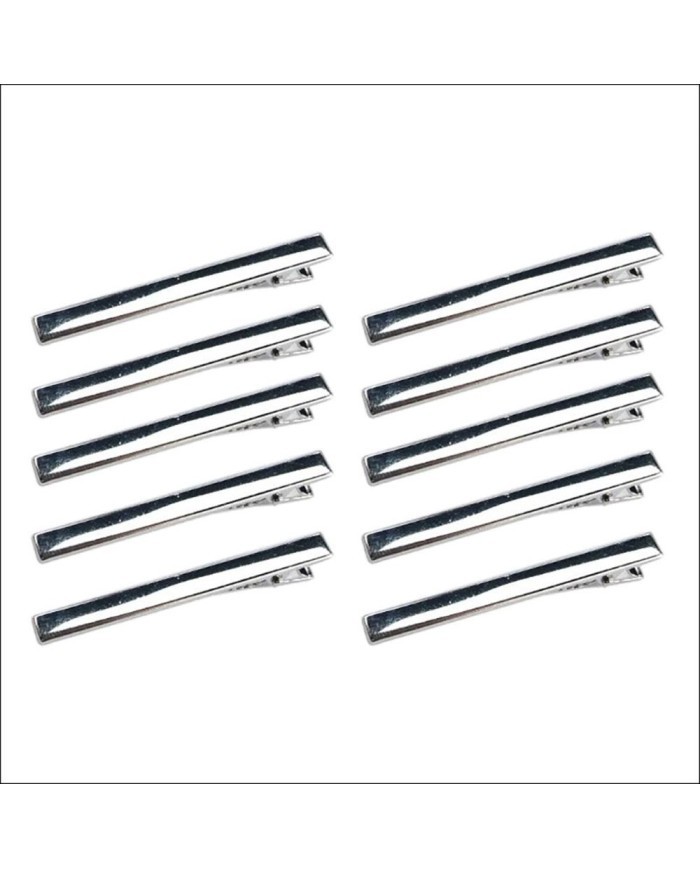 Gümüş Saç Tokası - 10 Lu Set