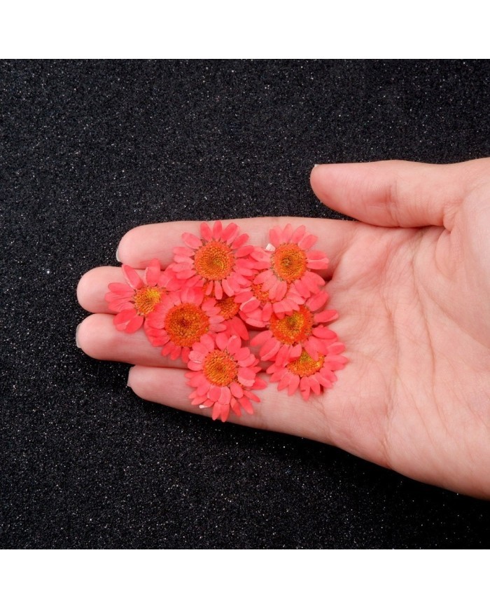 Kurutulmuş Papatya - Açık Kırmızı 10 Adet