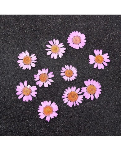 Kurutulmuş Papatya - Pembe 10 Adet