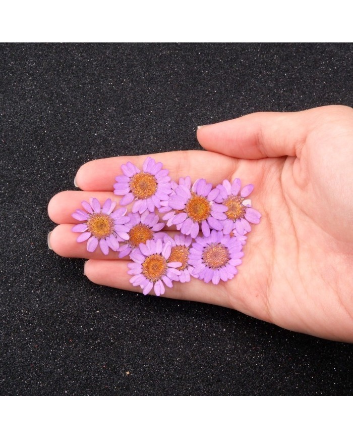 Kurutulmuş Papatya - Pembe 10 Adet