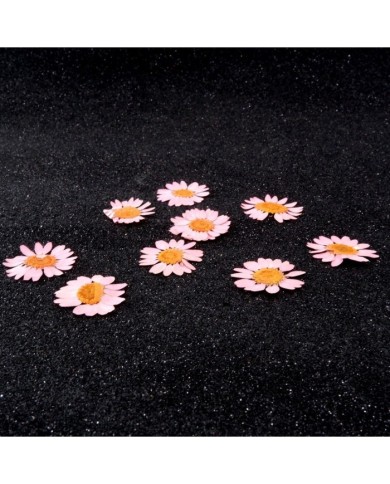 Kurutulmuş Papatya - Açık Pembe 10 Adet