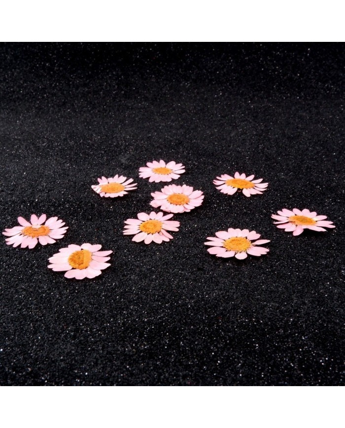 Kurutulmuş Papatya - Açık Pembe 10 Adet