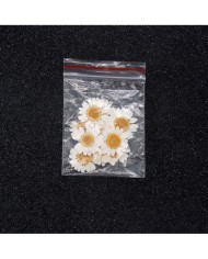 10 Adet -Kurutulmuş Papatya - Beyaz Tonları 10 Adet