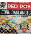 Red Rose - Ebru Başlangıç Seti