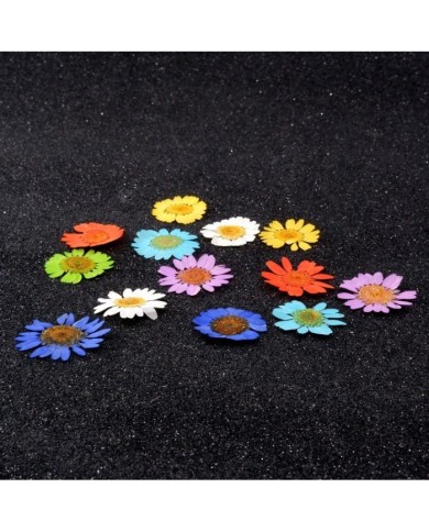 Kurutulmuş Papatya Seti 1 - 7 Renk 14 Adet Kurutulmuş Papatya Seti 1 - 7 Renk 14 Adet