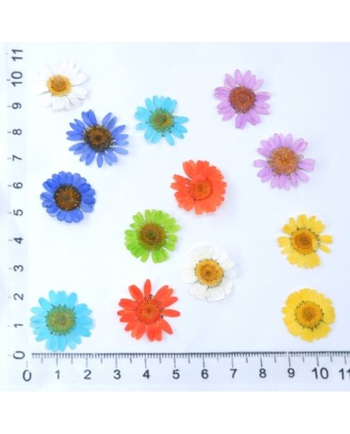 Kurutulmuş Papatya Seti 1 - 7 Renk 14 Adet