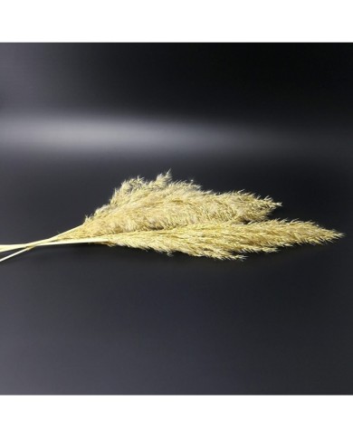 Kurutulmuş Çiçek - Ot