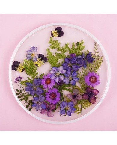 5 Adet Daire Model - Reçine Epoksi Kalıp 23 cm  - T13