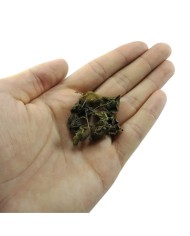 Meşe Çiçeği 20 Adet