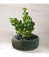 Bonsai Beton Saksı Silikon Kalıp - 184