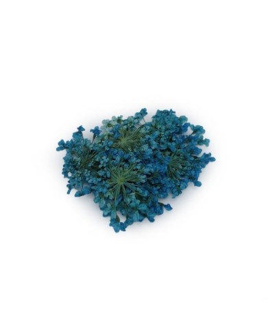 Sultan Otu - Kurutulmuş Çiçek - Turkuaz - 10 adet Sultan Otu - Kurutulmuş Çiçek - Turkuaz - 10 adet