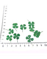 DÖRT YAPRAKLI YONCA - KURUTULMUŞ ŞANS ÇİÇEĞİ