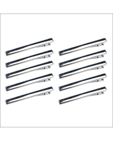 Gümüş Saç Tokası - 10 Lu Set