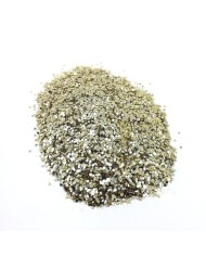 Pul Ortası 100 gr- Parlak Gold