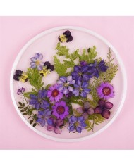 Daire Model Tepsi Kalıbı- yuvarlak Epoksi Kalıp 23 cm - T13