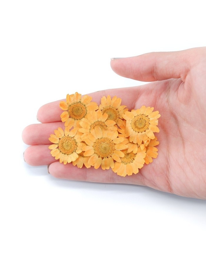 Kurutulmuş Papatya - Oranj 10 Adet